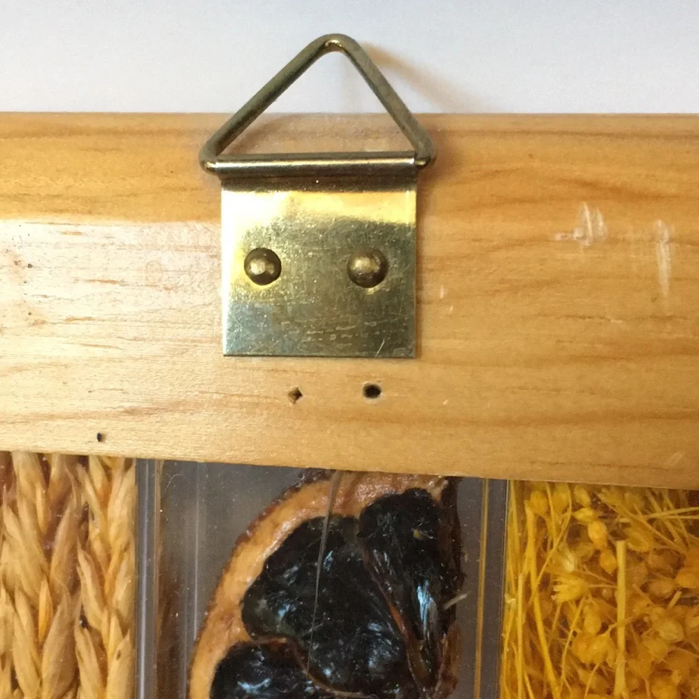 Mini-Framed Fruits & Grains Wall Decor